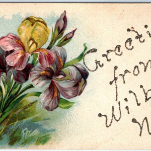 c1910s Wilber NE Greetings Purple Lily Flower Embossed Postcard Antique Neb A117