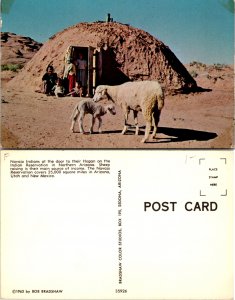 Navajo Indians (10122)