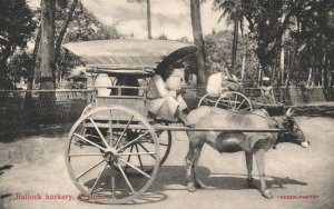 Sri Lanka Ceylon Bullock Hackery Vintage Postcard 03.69