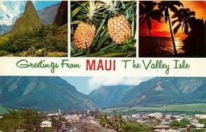 HI, Maui, Hawaii, Multi View, Wailuku, Mike Roberts No. C22239