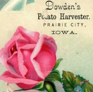 1880's-90's Dowden's Potato Harvester Prairie City, IA Lovely Roses P197