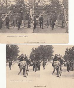 Lot 2 early stereo views France Paris Acclimatization Garden elephant ride