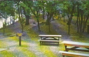 Minnesota New London Cedar Hill Picnic Grounds Sibley State Park