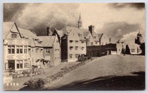 Chestnut Hill MA South View~Christian Science Sanatorium~Long Hedges Row~RPPC PC