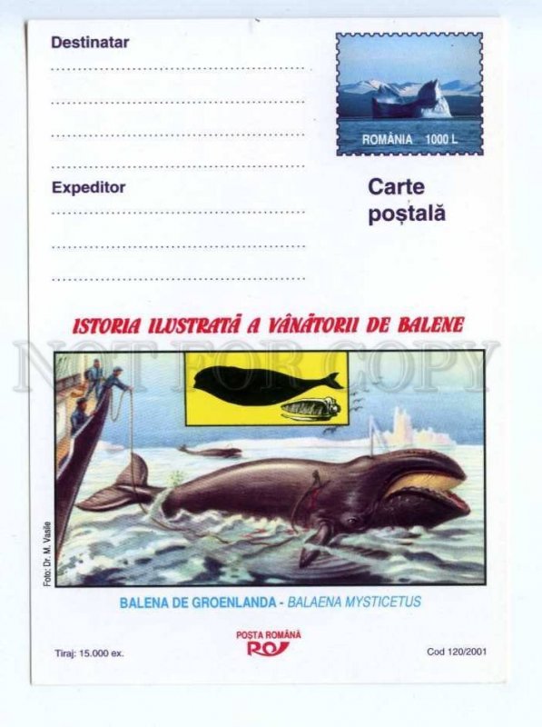 419423 ROMANIA 2001 year whale whalers postal postcard POSTAL stationery