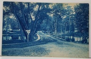 NH Near Wilmot Flat Potter Place Chase Pond Dam c1905 Cyanotype Pic Postcard H2