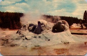 Yellowstone National Park Grotto Geyser Upper Geyser Basin