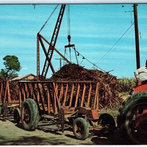 c1970s San German, Puerto Rico Sugar Cane Harvest Tractor Farm Crane Photo A145