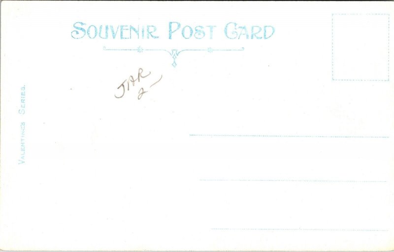 Peninsular Lake Bays Grand Trunk Railway System Antique Souveir Postcard UNP DB 