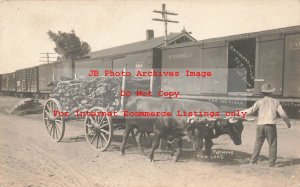 TX, Raymondville, Texas, RPPC, Railroad Train Cars, Oxen Drawn Wagon of Wood