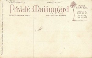 C-1910 Hawaiian Islands Papaia Fruit Tree #109 Private mailing Postcard 6948