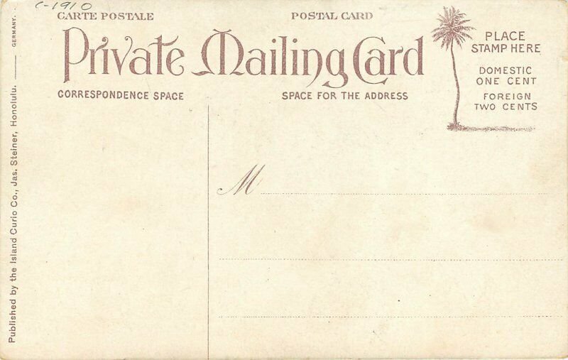 C-1910 Hawaiian Islands Papaia Fruit Tree #109 Private mailing Postcard 6948