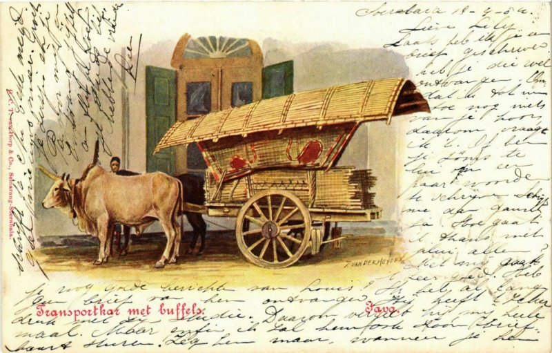 CPA AK JAVA Transportkar met buffels. INDONESIA (169517)