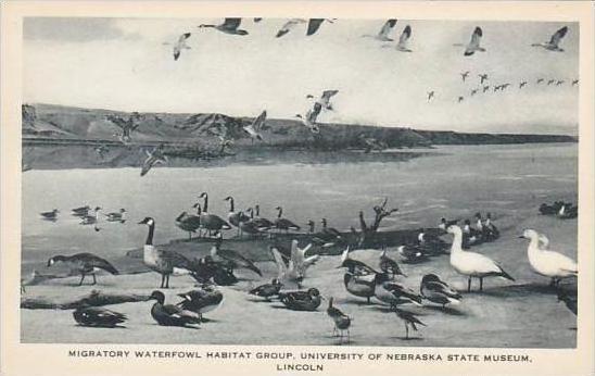 Nebraska Lincoln Migratory Waterfowl Habitat Group University Of Nebraska Sta...