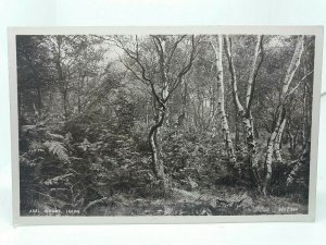 Adel Woods Leeds Yorkshire Vintage RP Postcard