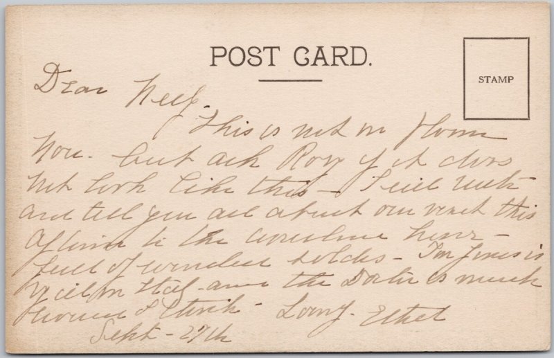 Victoria BC Field of Scotch Broom Margaret Kitto Artist Postcard H79