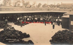 FL, Tarpon Springs, Florida, RPPC, Sponge Exchange, Auction Sale Day