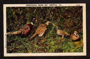PA Greetings from MT GRETNA PENN Postcard Pheasants Postcard Pennsylvania