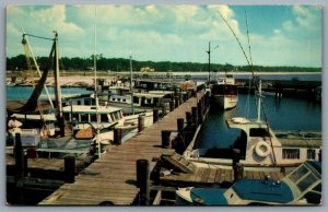 Postcard Gulfport MS c1950s Charter Boats Deep Sea Fishing Municipal Pier