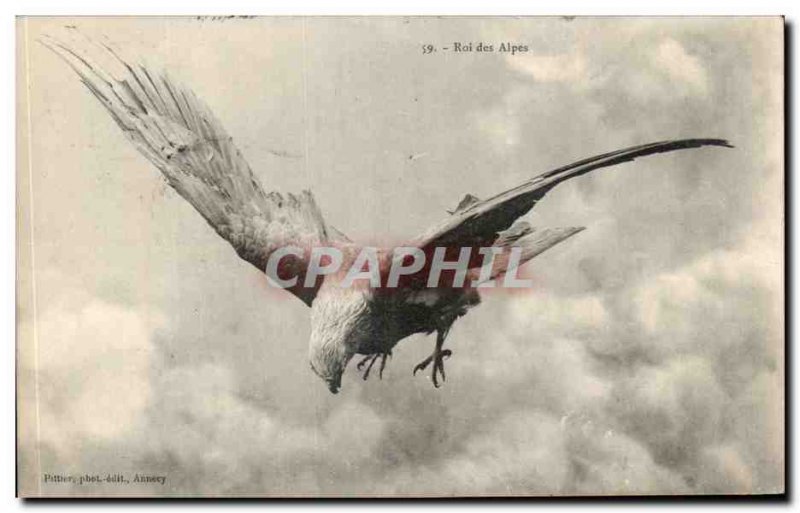 Old Postcard King of the Alps Eagle bird