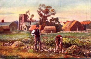 Farming Scene Harvesting Crops Tucks Country Life Series V