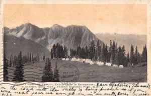 Rainier National Park Washington Paradise Valley Camp Private Mail PC JE228329