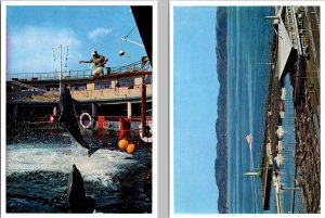 2~4X6 Postcards Enoshima Island Japan MARINE LAND~Dolphins & SHONAN HARBOR~Pier