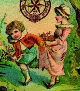 1880's Emil Seelig's Kaffee Victorian Trade Card - Gathering Flowers in Garden
