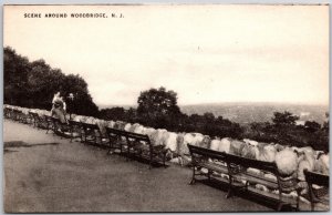 Scene Around Woodbridge New Jersey NJ Benches Antique Postcard