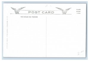 C1910 Central Bridge Newport Ky. Postcard P173E