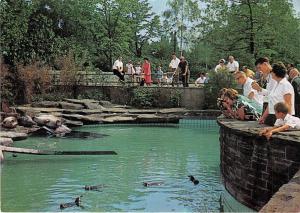 BG12599 grugapark essen seehundbecken   germany