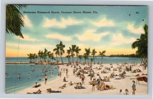 Miami FL-Florida, Matheson Hammock Beach, Coconut Grove, Linen Postcard 