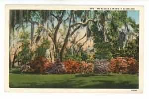 NC - An Azalea Garden