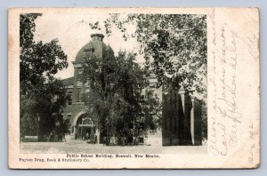 J86/ Roswell New Mexico Postcard c1910 Public School Building 326