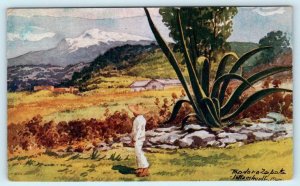 VOLCANO of  IZTACCIHUATL, Mexico ~ Artist Signed Teodoro Zapata Postcard