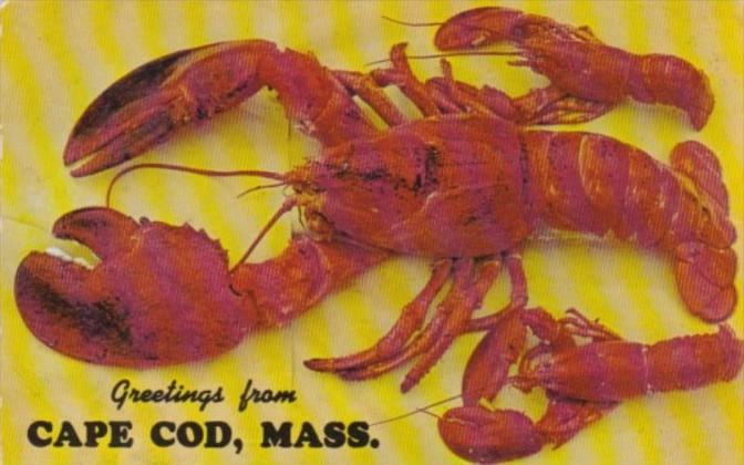 Massachusetts Cape Cod Greetings From Showing 14 Pound Lobster 1965