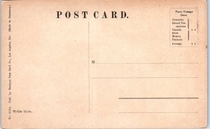 1910s Rustic Bridge West Lake Park Los Angeles CA Postcard