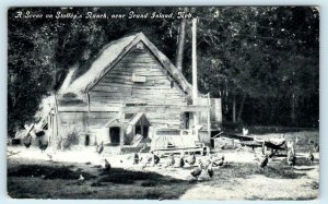 GRAND ISLAND, Nebraska NE ~ Chickens & Coop STOLLEY'S RANCH 1911  Postcard