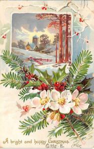 Damaged Christmas 1906 