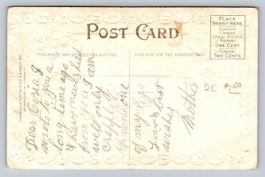 Thanksgiving Greetings   Postcard