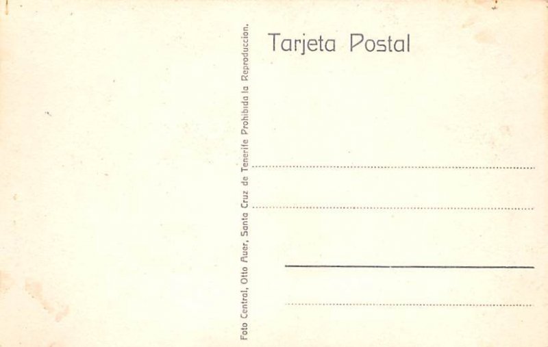 Tenerife Motivo en Sta Ursula Real Photo Spain Unused 