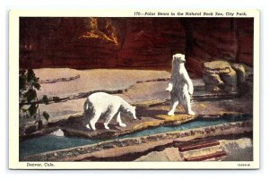 Polar Bears Natural Rock Zoo City Park Denver Colorado Postcard