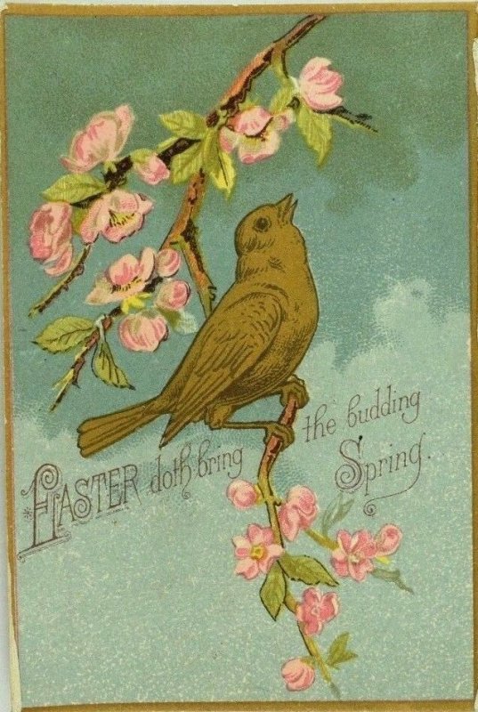1880's-90's Victorian Easter Card Bird In Tree Blossoms Flowers P78