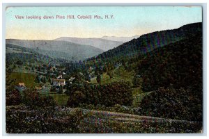 1912 View Looking Down Pine Hill Catskill Mountain New York NY Vintage Postcard 