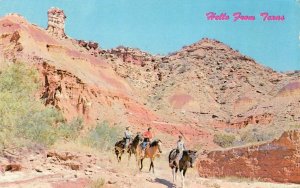 PALO DURO CANYON Amarillo, Texas Horseback Riders c1950s Vintage Postcard