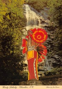 NC, North Carolina WOODY LITTLESKY Mingo Falls~Cherokee Indian Res  4X6 Postcard