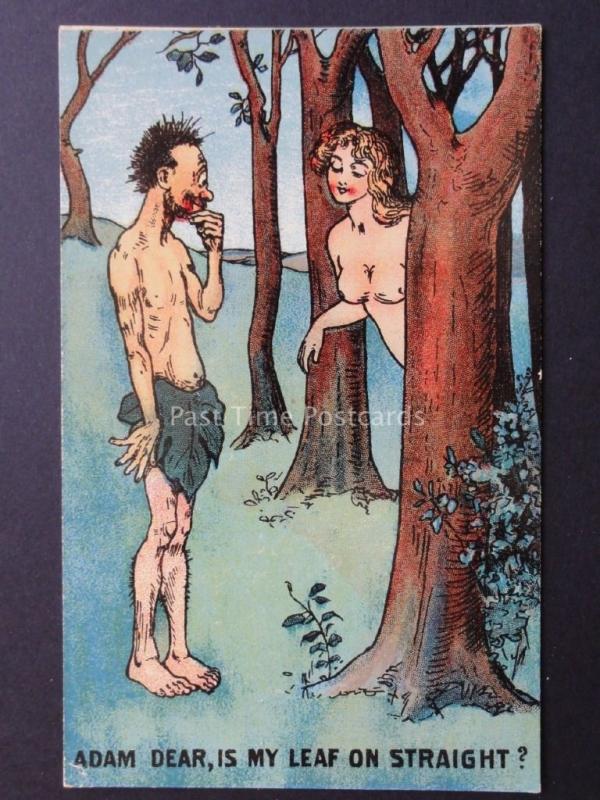 Old Comic Postcard ADAM & EVE ADAM DEAR, IS MY LEAF ON STRAIGHT? No.704