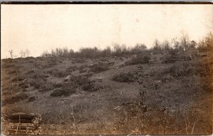 Wood, Cut and Stacked, Ozarks Area MO c1909 Vintage Postcard R43