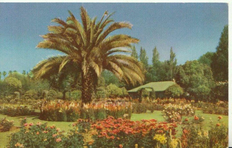 America Postcard - Garden Center, McKinley Park, Sacramento, California - TZ1050