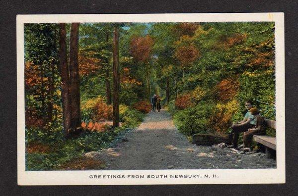 NH Greetings from SOUTH NEWBURY NEW HAMPSHIRE Postcard